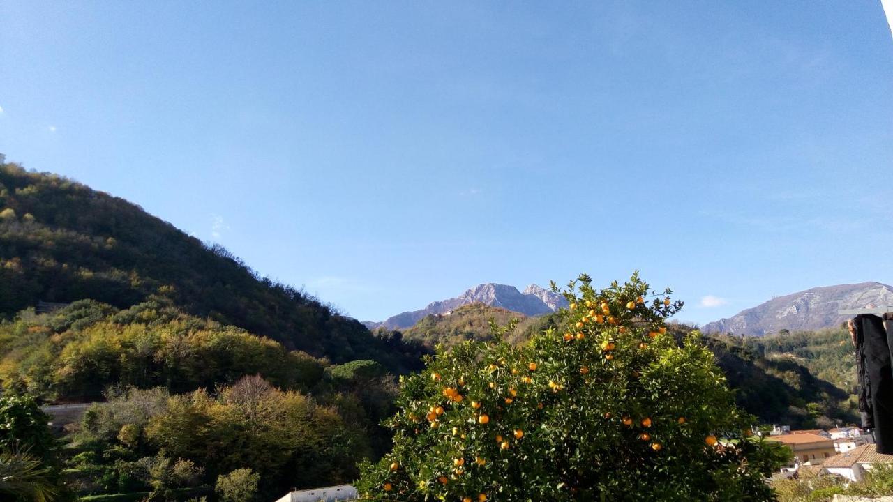 L'Antico Giardino Panzió Vietri Kültér fotó