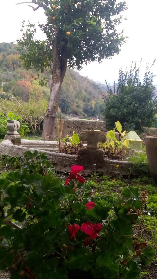 L'Antico Giardino Panzió Vietri Kültér fotó