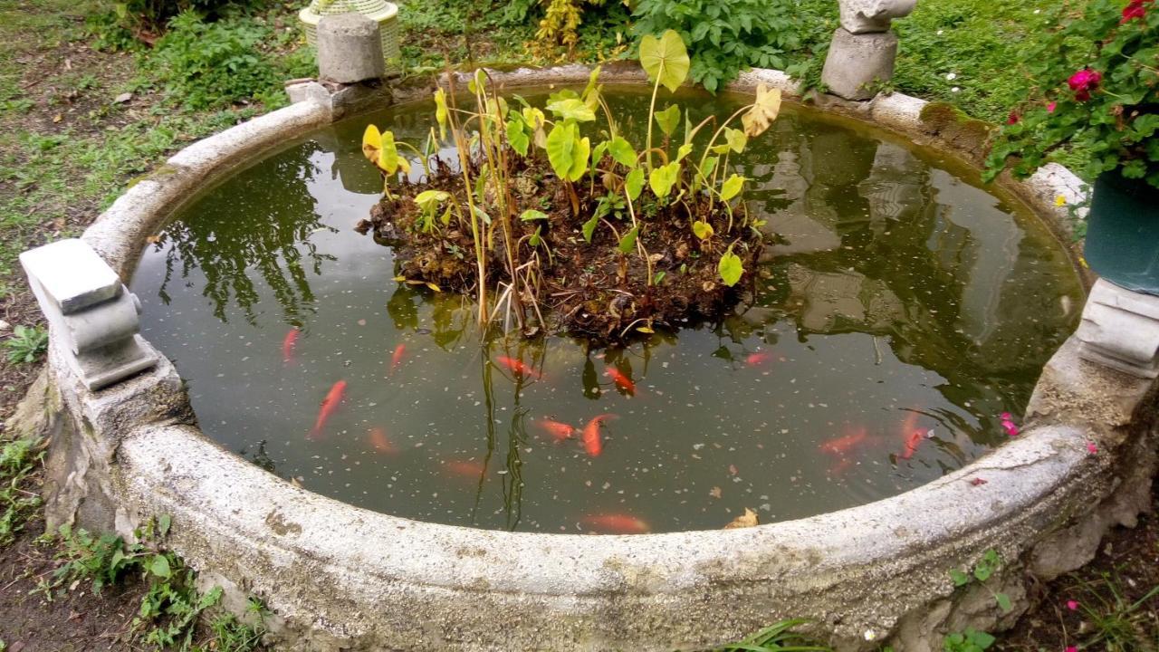 L'Antico Giardino Panzió Vietri Kültér fotó